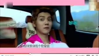 鳮巴视频,揭秘美食背后的故事与制作技巧